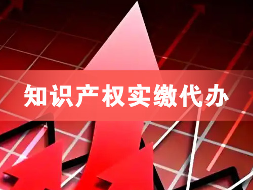 樟树知识产权实缴资本代办